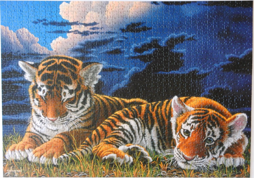 Two tiger cubs resting in tall grass under a dramatic twilight sky.