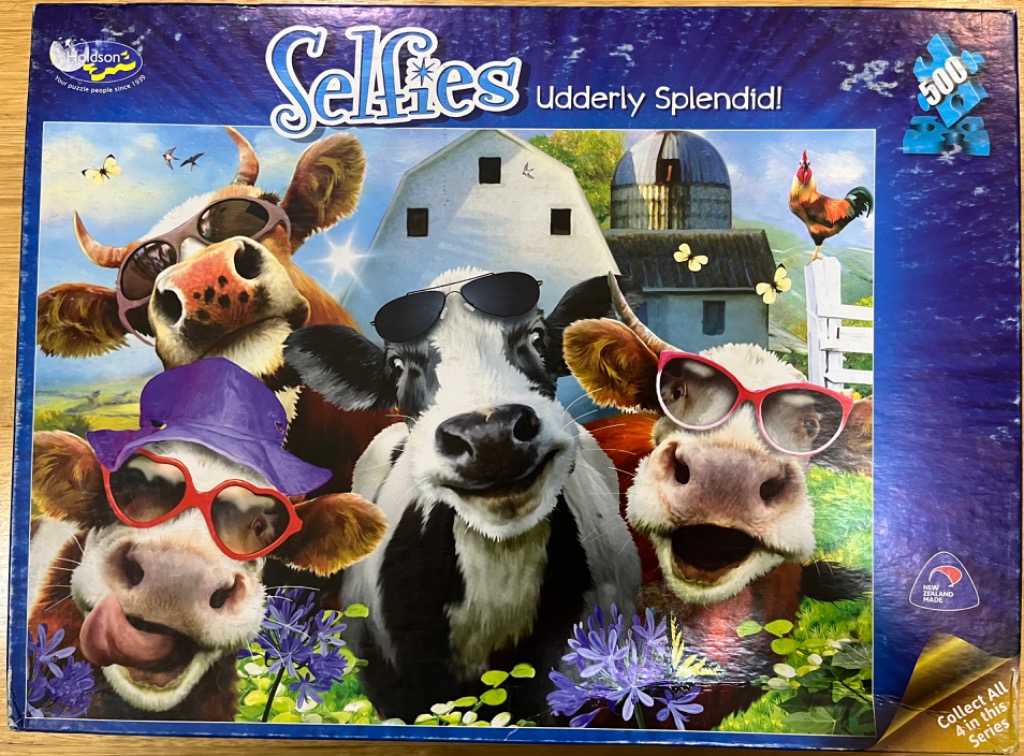 Three cows wearing sunglasses and posing for a selfie in front of a rural farm barn.