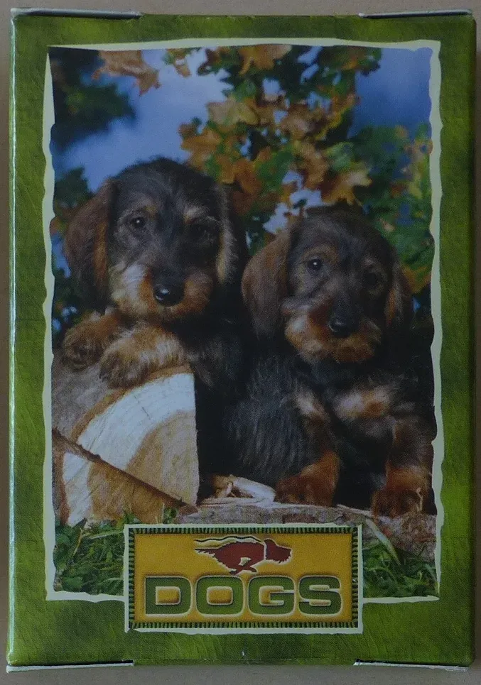 Two wire-haired dachshund puppies sitting on a log outdoors