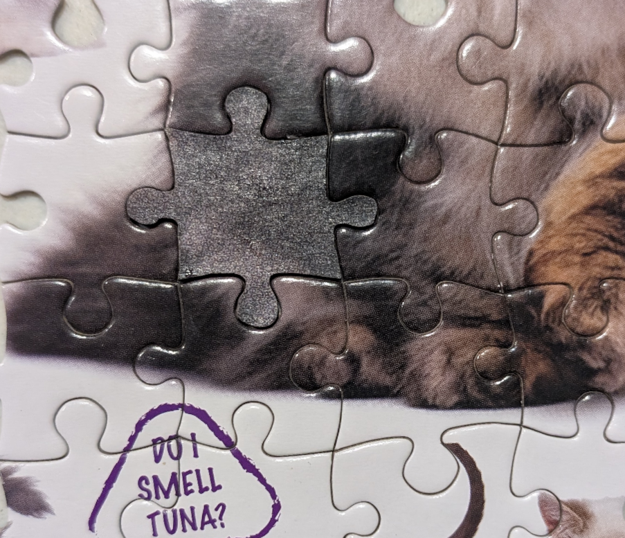 The Cat Puzzle
