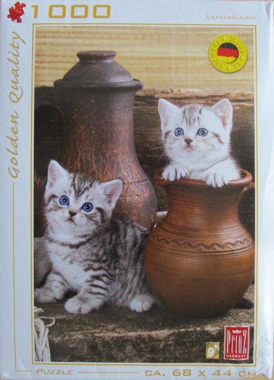 Two fluffy tabby kittens with bright blue eyes posing with rustic clay pots on a wooden surface.