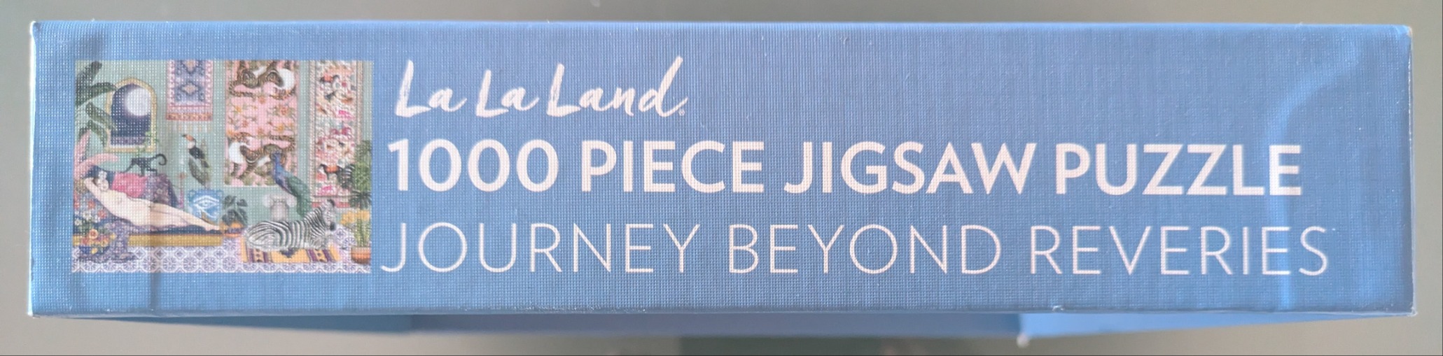 Journey Beyond Reveries