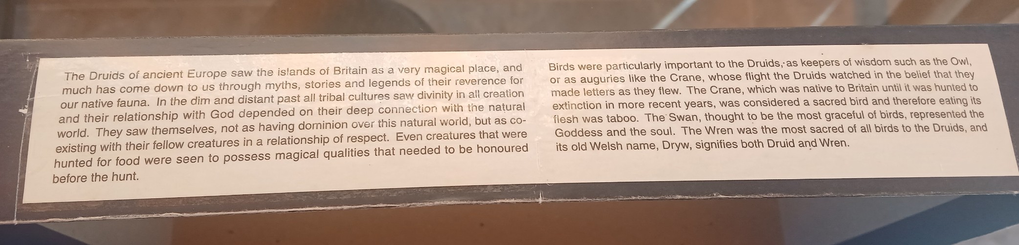 Educational text about Druidic reverence for nature and birds on a dark background.