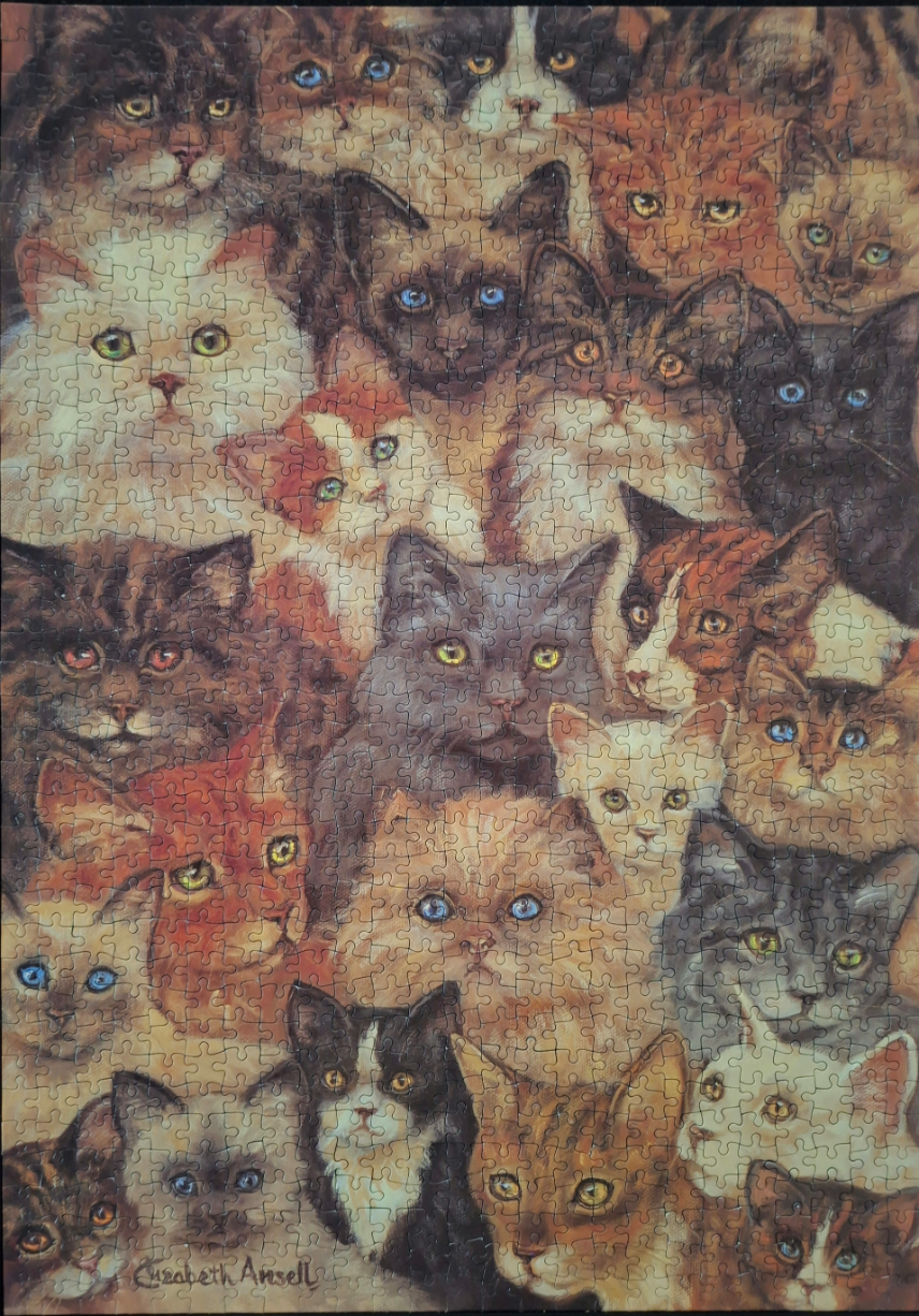 A dense montage of many cats of different breeds and colours looking forward.