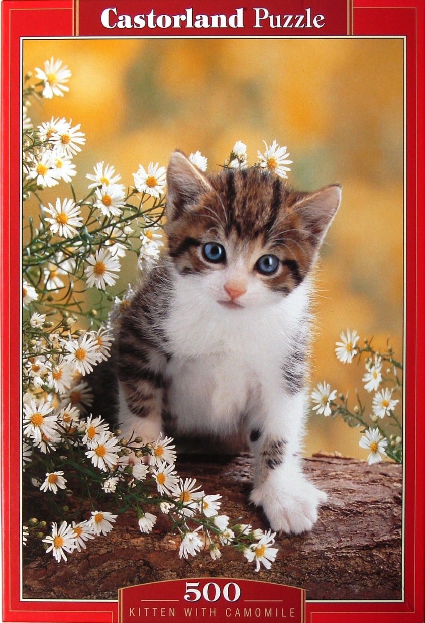 A close-up photograph of a fluffy tabby and white kitten sitting on a wooden log surrounded by white camomile flowers.