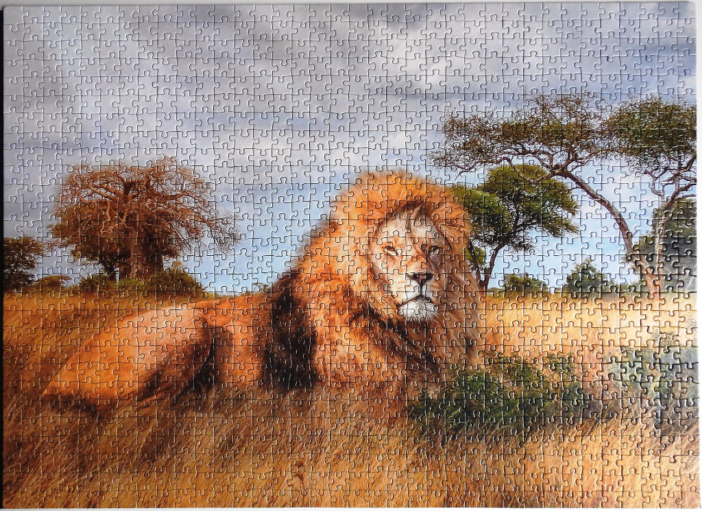 A male lion resting in the dry grass of the African savanna under a cloudy sky.