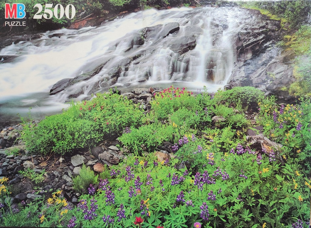 A lush foreground of purple lupine and yellow wildflowers leading to a cascading mountain waterfall.