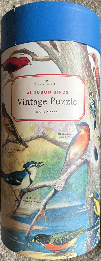 Vintage illustration of various North American birds perched on tree branches against a soft background.