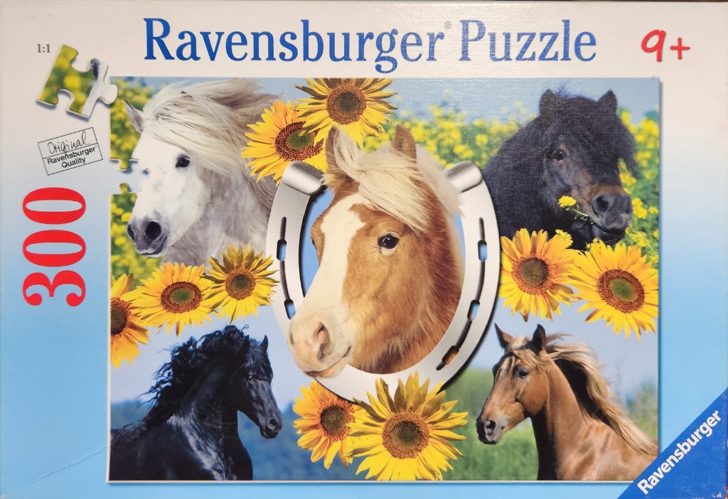A collage featuring five horses of different colors arranged around a large silver horseshoe amidst bright yellow sunflowers.