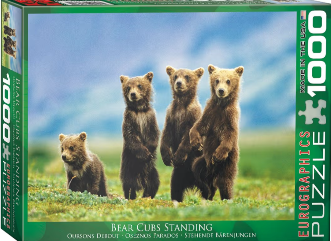 Three brown bear cubs standing upright and one smaller cub sitting in a green meadow against a blue mountain backdrop.