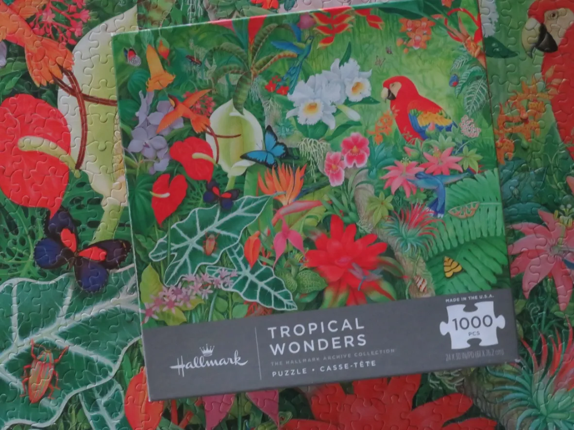 Tropical Wonders
