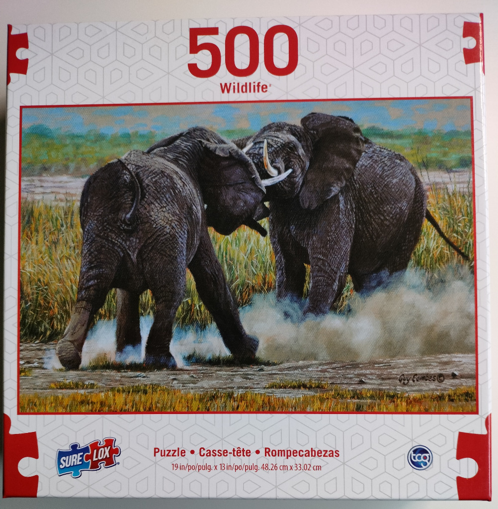 Two African elephants sparring in a grassy savanna landscape