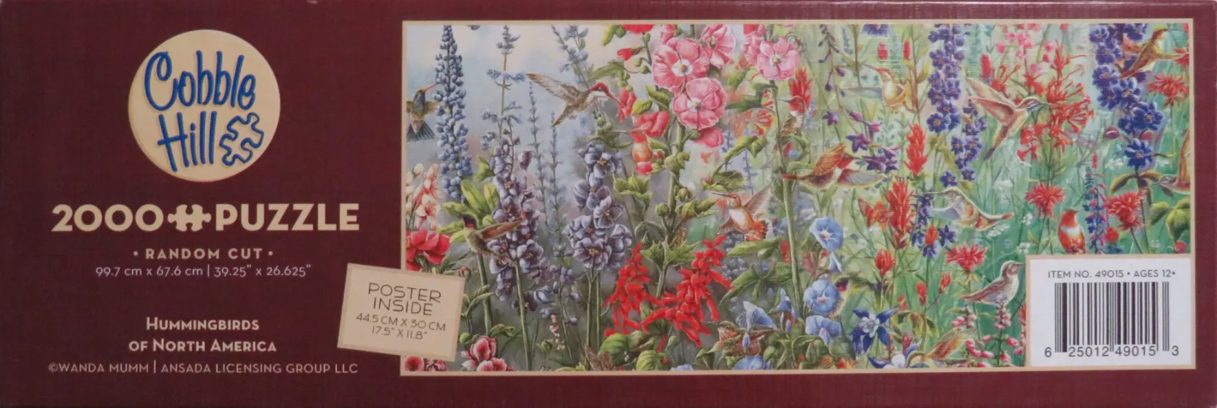 Hummingbirds of North America
