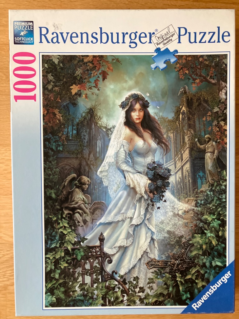 A gothic fantasy illustration of a woman in a white wedding dress standing in an overgrown, ruined church graveyard.