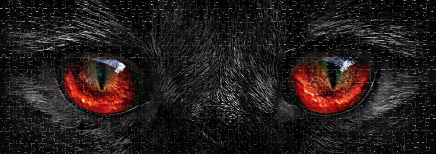 Close-up photograph of a black cat's face, focusing on its glowing, fiery red eyes against dark fur.