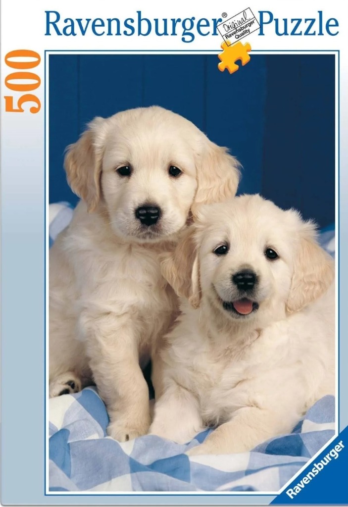 Two fluffy Golden Retriever puppies sitting together on a blue and white checkered blanket against a dark blue background.