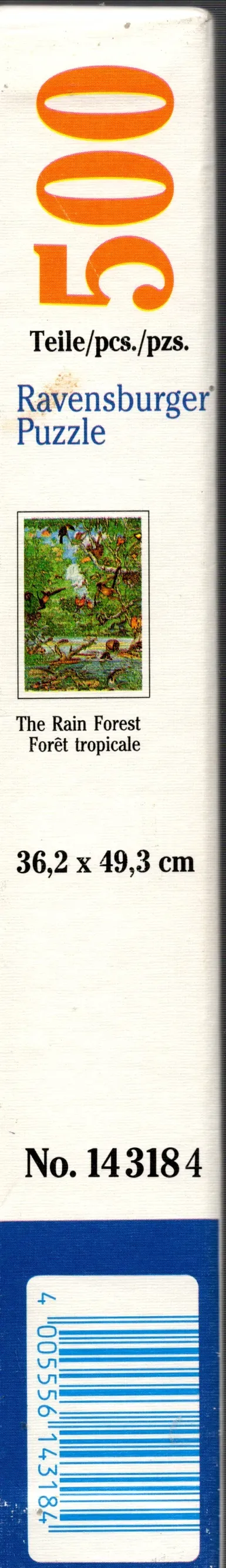 The Rain Forest