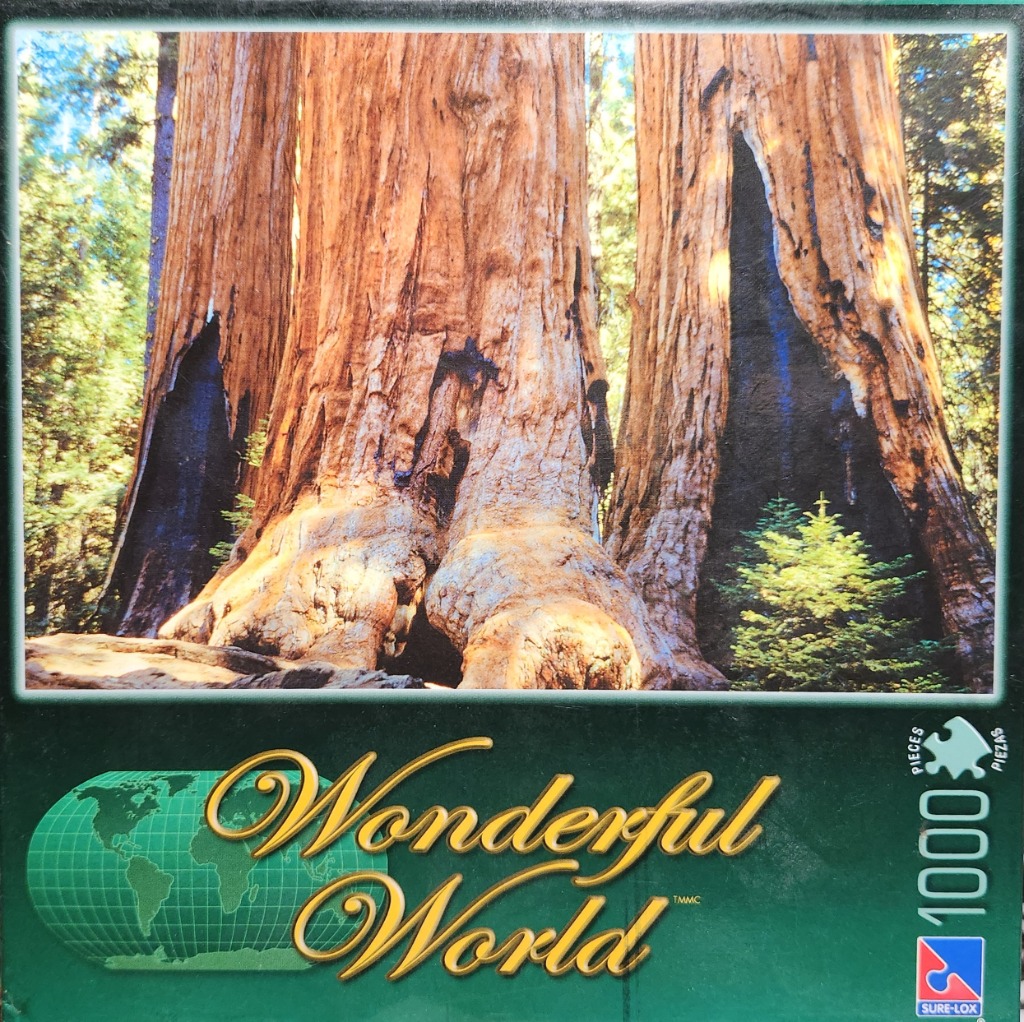 Close-up of massive redwood or sequoia tree trunks featuring large fire-scarred hollows in a forest setting.