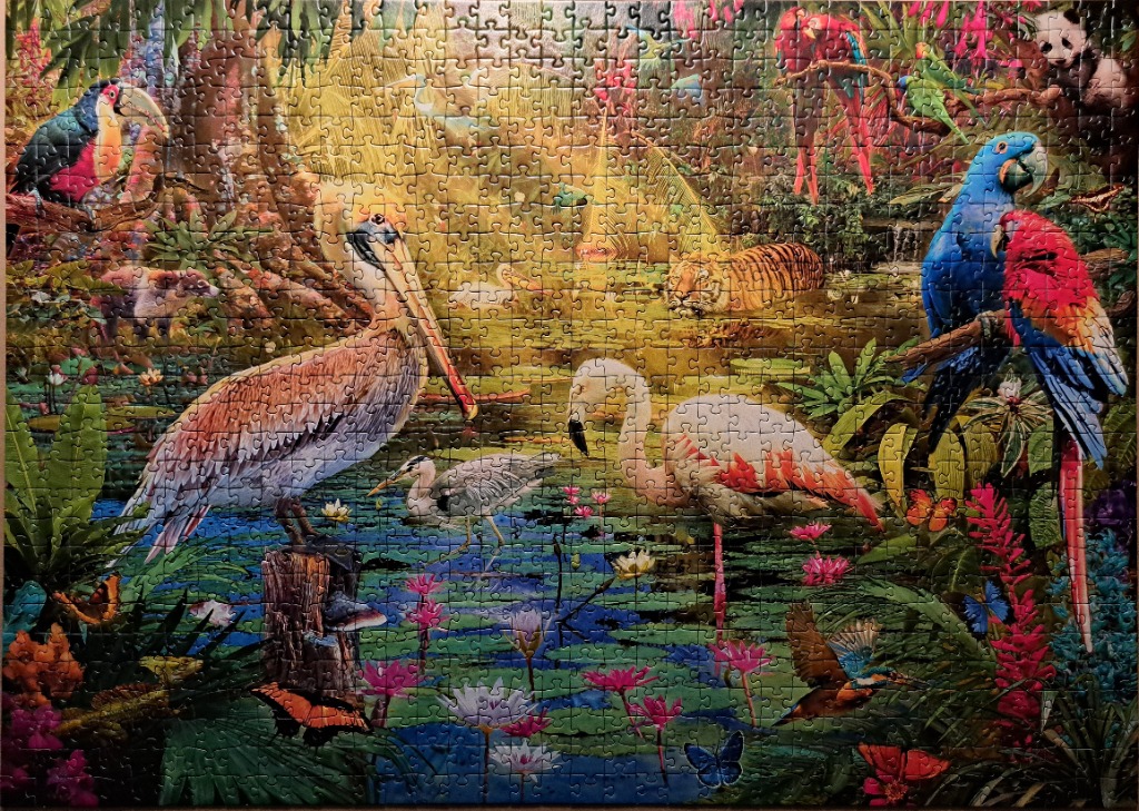 A lush jungle scene filled with diverse wildlife including a pelican, flamingo, parrots, a tiger, and vibrant flowers.