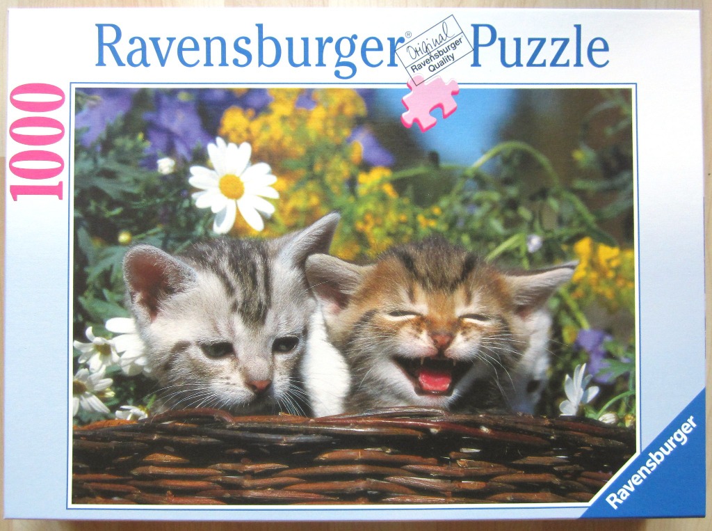 Two kittens sitting in a wicker basket amongst flowers