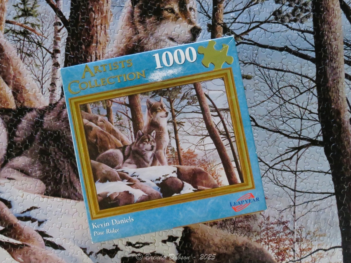 Two wolves resting on a rocky, snow-dusted forest ridge.