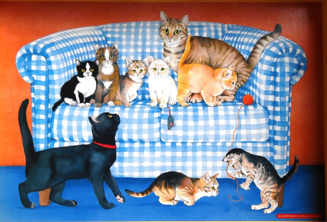 A group of nine cats and kittens on and around a blue and white checkered sofa