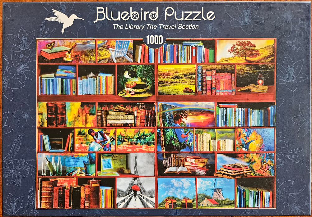 A whimsical collage of a library bookshelf containing various travel-themed books and scenic landscape inserts.