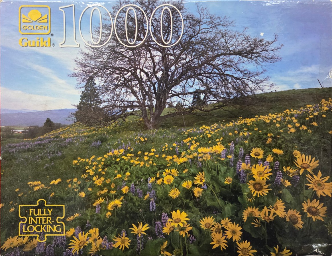 A sprawling meadow filled with yellow balsamroot flowers and purple lupine beneath a large, bare oak tree.