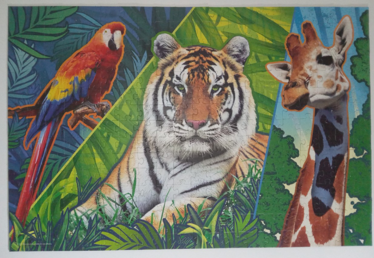 Collage of a scarlet macaw, a tiger, and a giraffe set against a stylized jungle background.