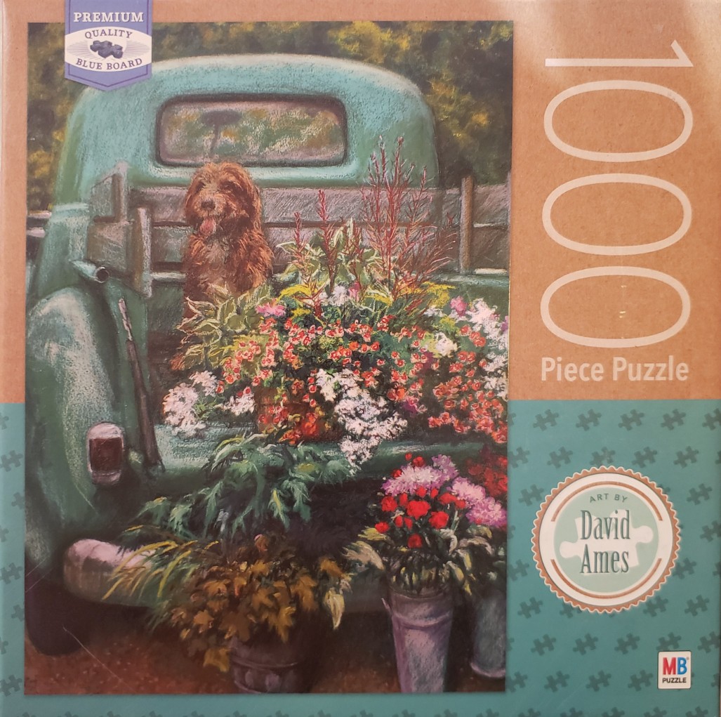 A shaggy brown dog sitting in the back of a vintage turquoise pickup truck filled with colorful flowers.