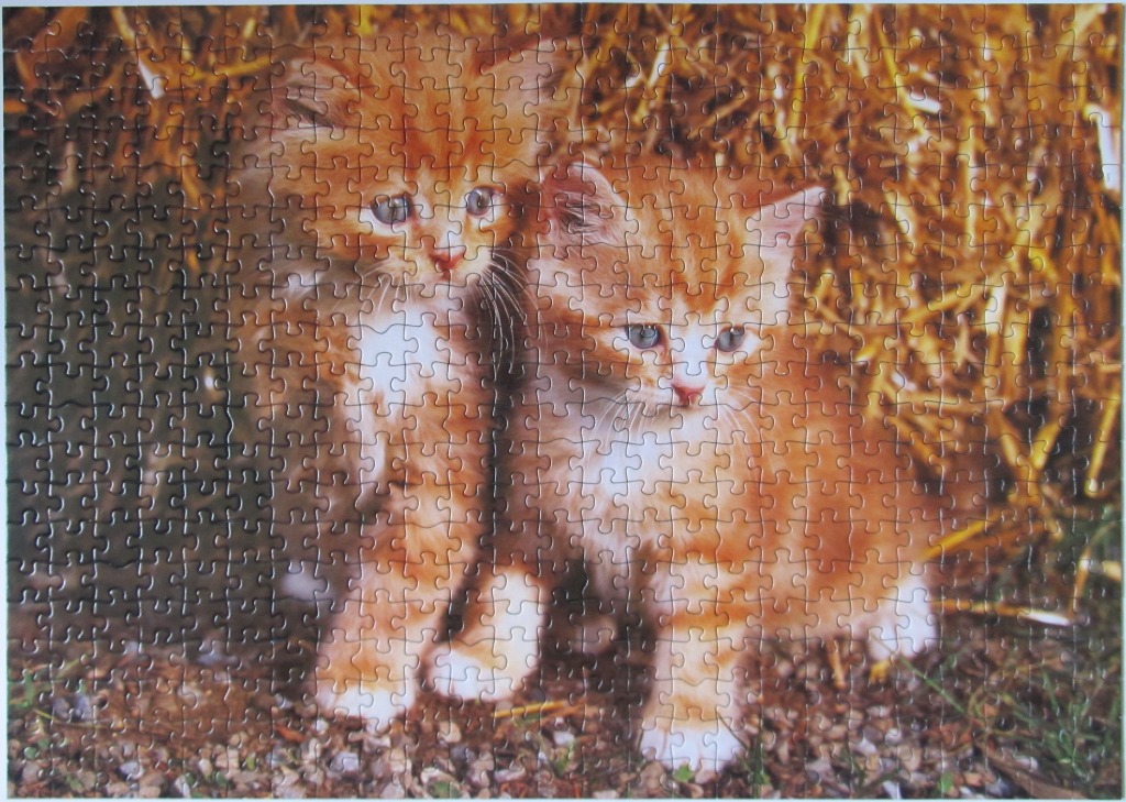 Two fluffy ginger kittens sitting side-by-side in front of a pile of golden straw.