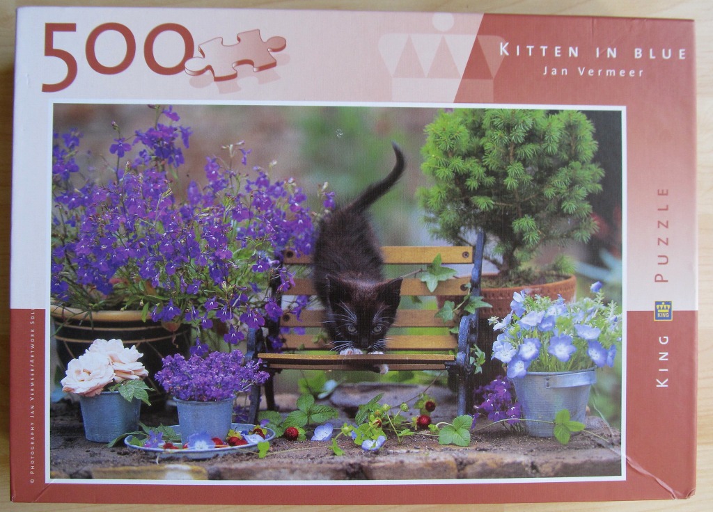 A black kitten balanced on a small garden bench surrounded by blue flowers and potted plants.