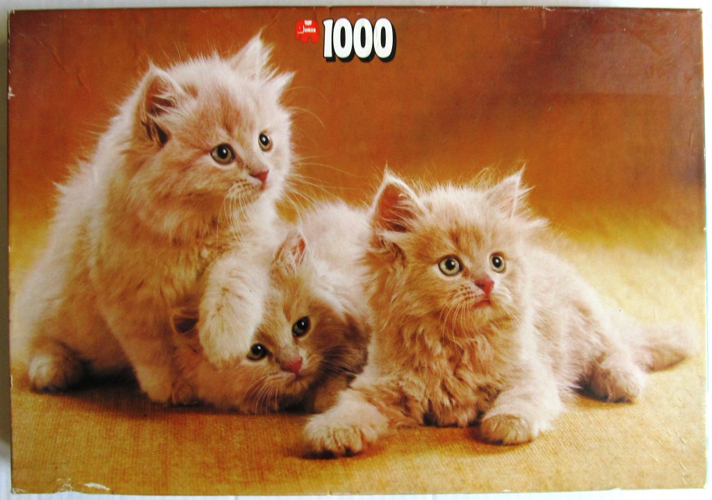 Three fluffy ginger kittens sitting together against a warm, muted brown background.