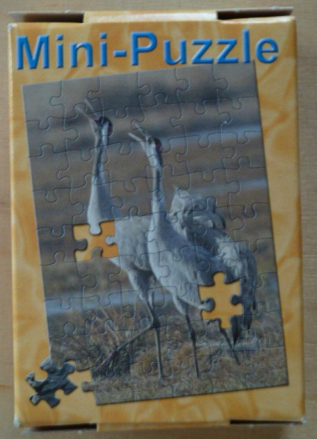 Two white cranes performing a mating dance in a blurred, golden-brown landscape.