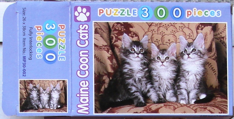 Three fluffy Maine Coon kittens sitting side-by-side on a patterned fabric chair.
