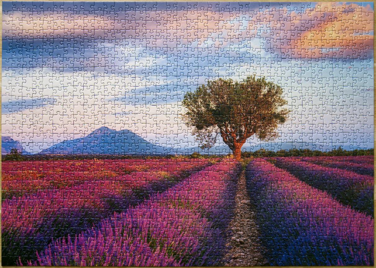 A lone tree stands in a vibrant purple lavender field under a soft sunset sky with mountains in the distance.