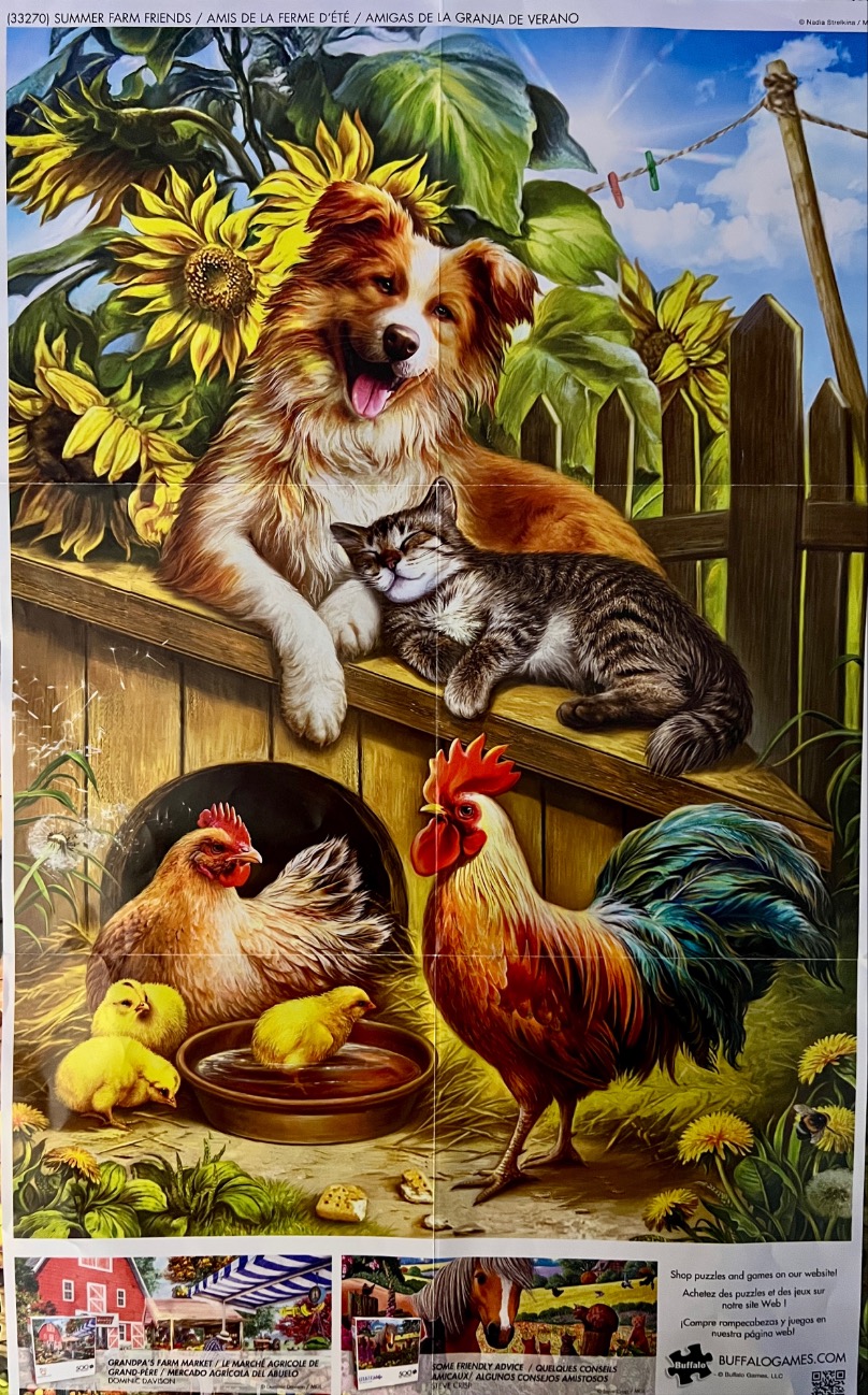 A joyful collie dog and a sleeping tabby cat resting together on a wooden fence with chickens below them.