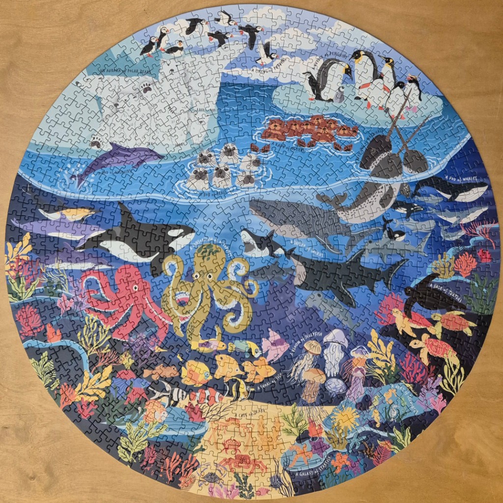 A circular illustration of a vibrant ocean ecosystem filled with diverse marine animals and plants.