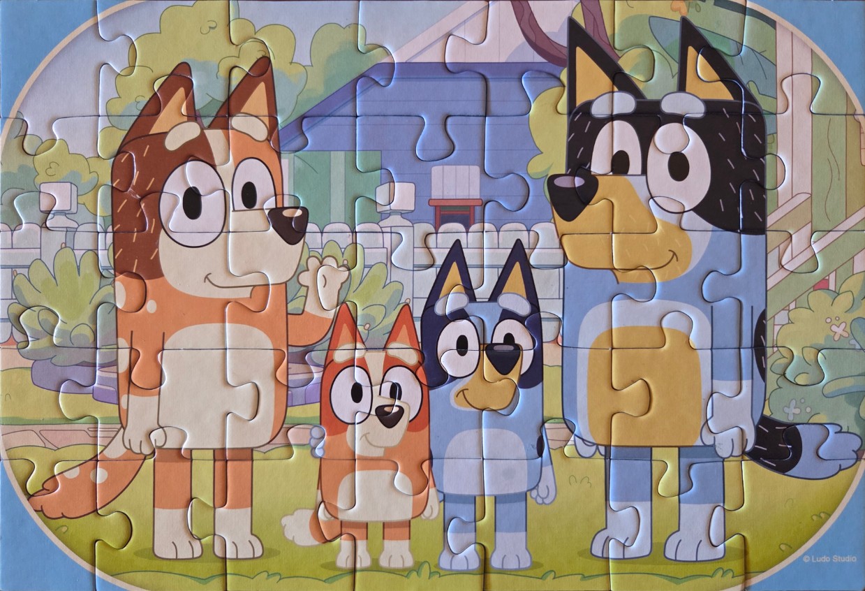 An illustration of four blue and red heeler dogs standing in a front yard.