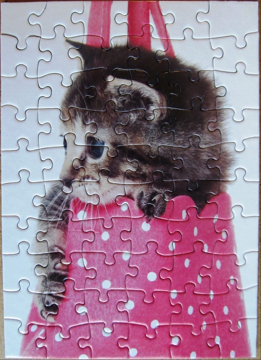 A small brown tabby kitten peeking out of a bright pink polka-dot bag.