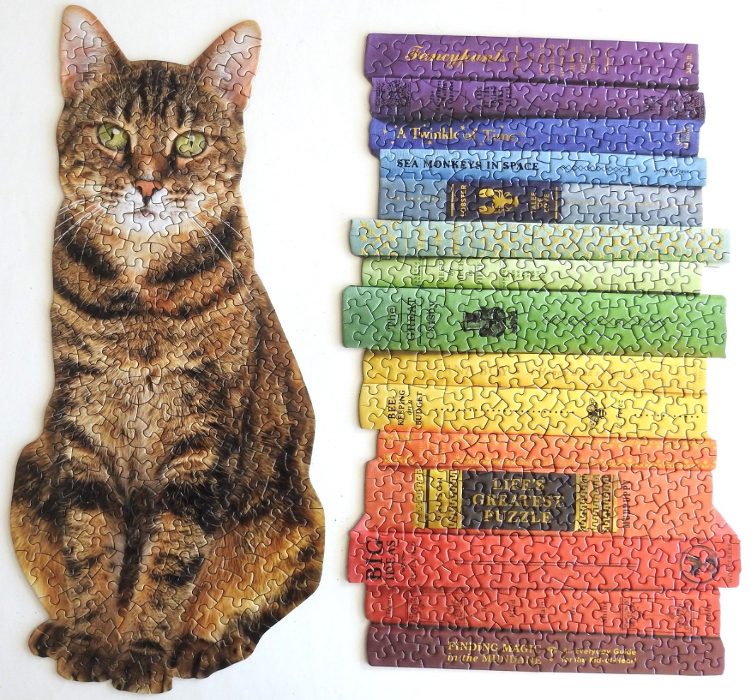 A portrait of a brown tabby cat sitting next to a rainbow-colored stack of books.