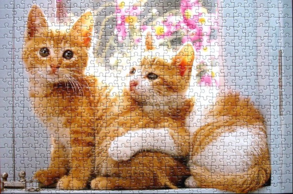 Two ginger kittens sitting side-by-side in front of a window with flowers.