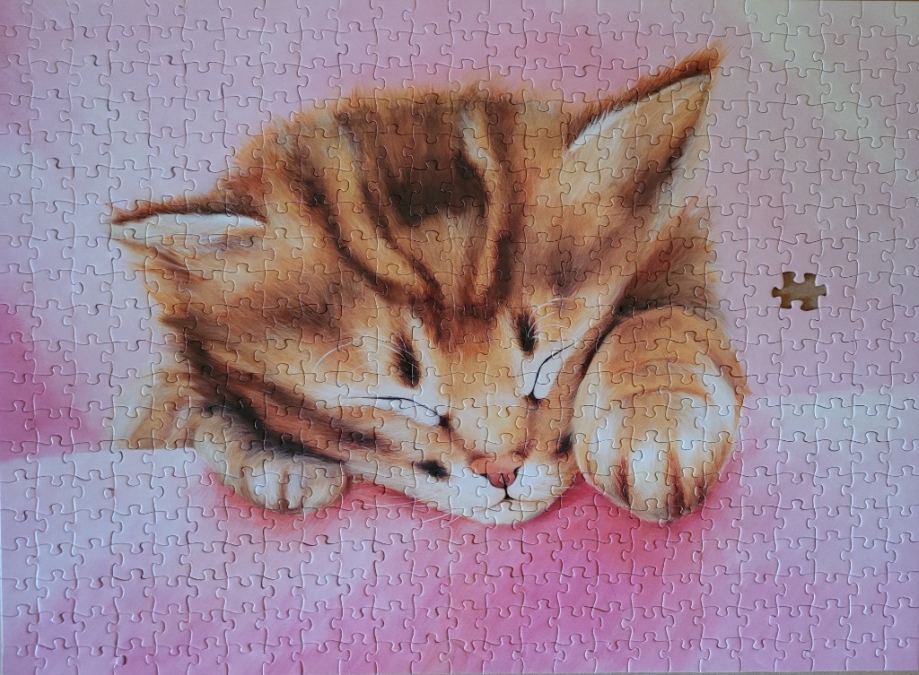 A digital painting of a ginger kitten sleeping peacefully against a soft pink background.