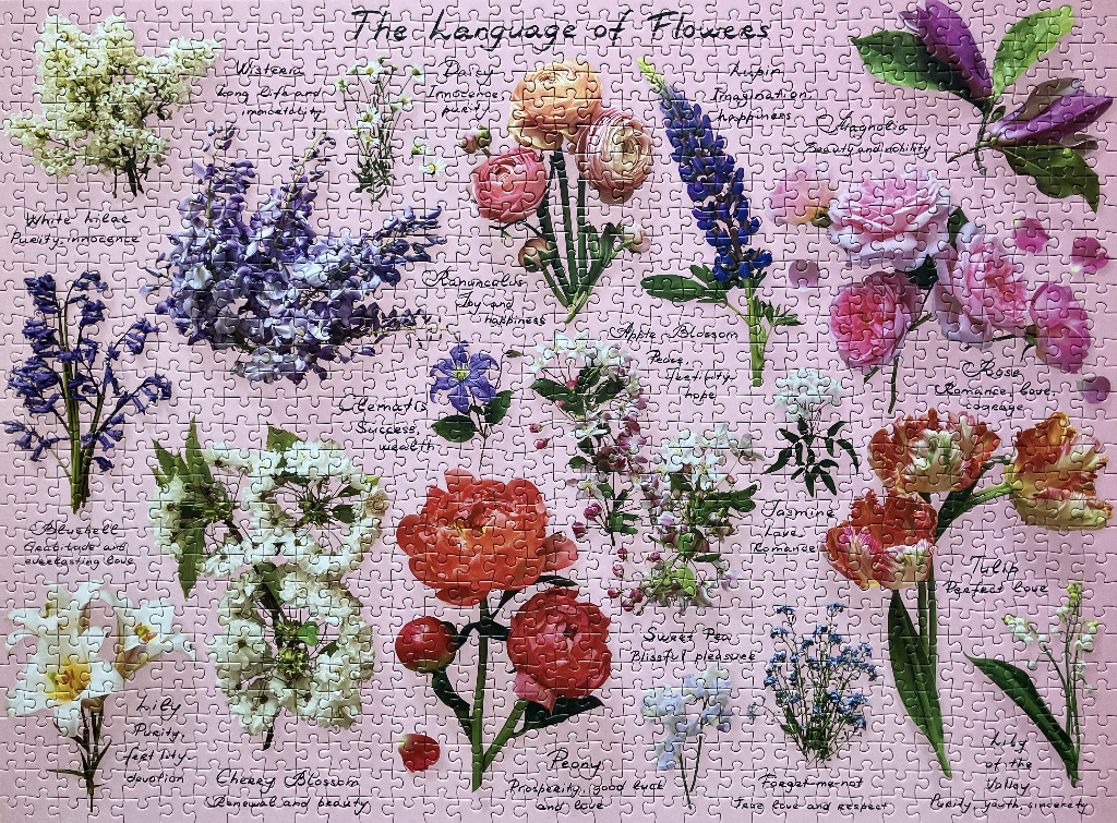 A floral chart titled The Language of Flowers featuring various botanical illustrations against a pink background.