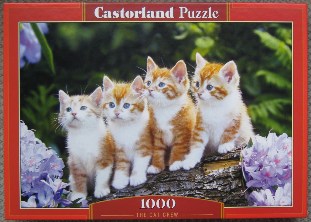 Four ginger and white kittens sitting on a rustic wooden log surrounded by purple rhododendrons.