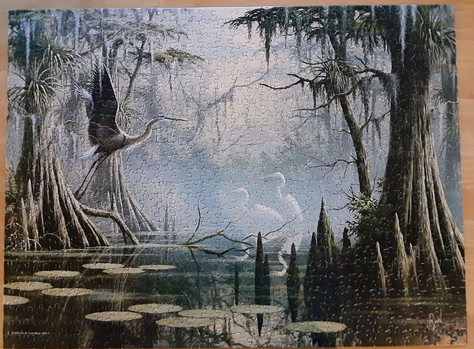 A grey heron flies over a misty swamp with cypress trees and water lilies.