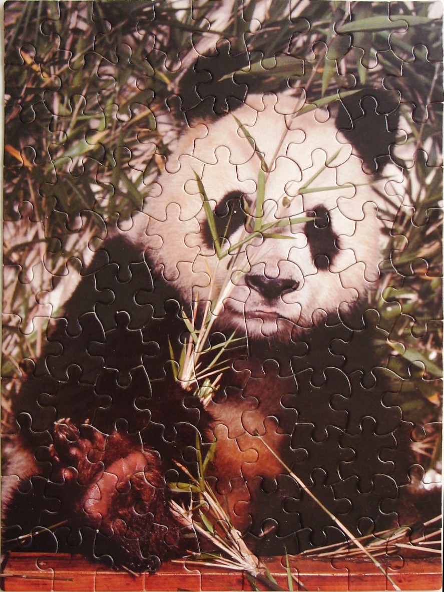 A close-up photograph of a giant panda peeking through bamboo stalks.