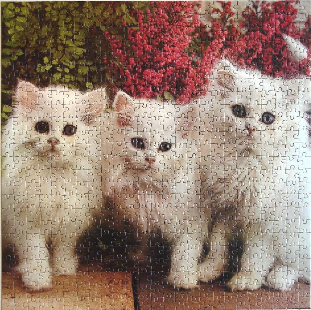Three fluffy white kittens sitting in front of a bush with green leaves and pink flowers.