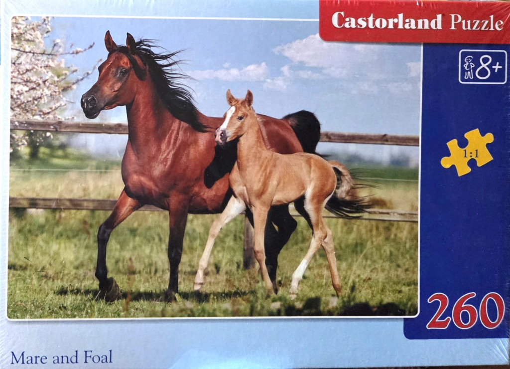 A photograph of a bay mare and a light brown foal walking in a grassy field.