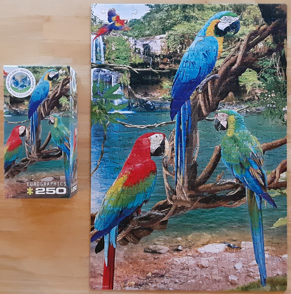 A tropical scene featuring three vibrant macaws perched on tree branches in front of a waterfall and river.